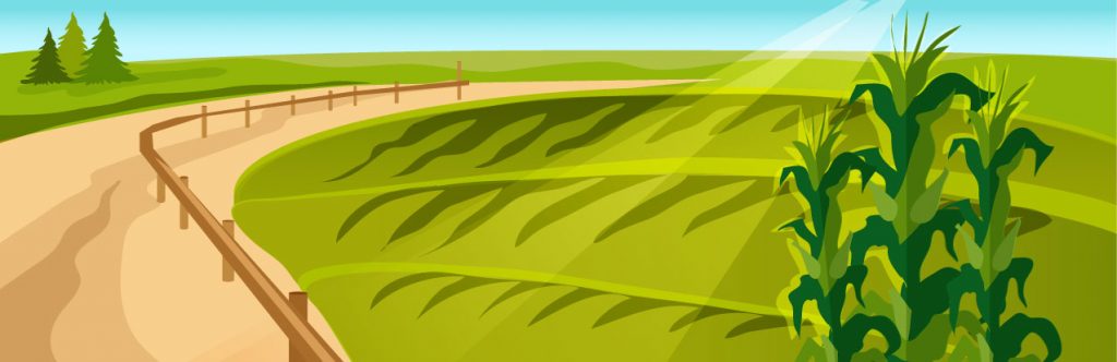 Caja Solidaria San Miguel Huimilpan