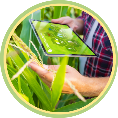 Caja Solidaria San Miguel Huimilpan