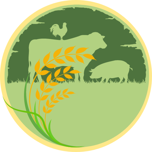 Caja Solidaria San Miguel Huimilpan