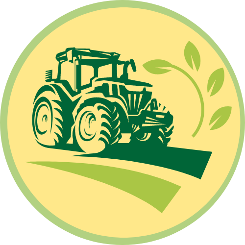 Caja Solidaria San Miguel Huimilpan